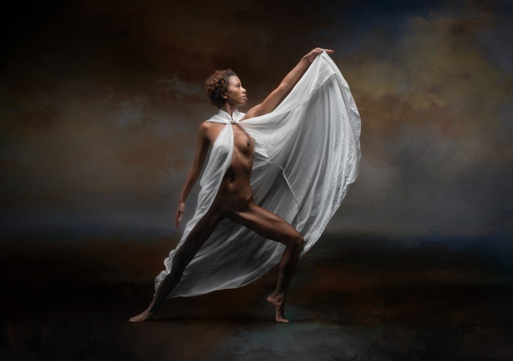 Graceful Form in White by Luc Stalmans — canvas wall art