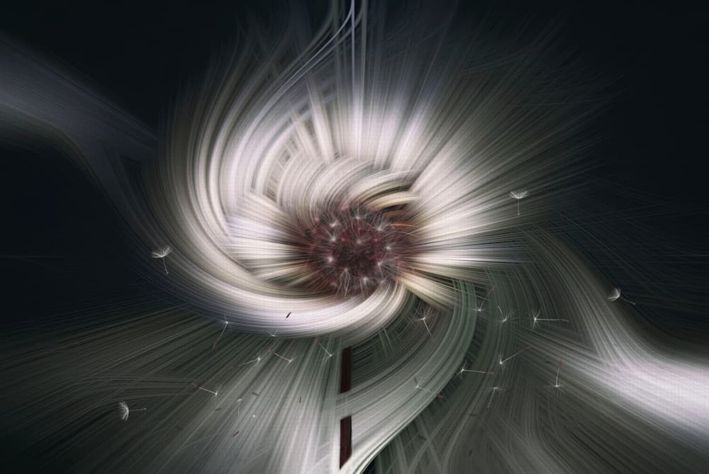 Dandelion Light Swirl by Sherin.Abdou — canvas wall art