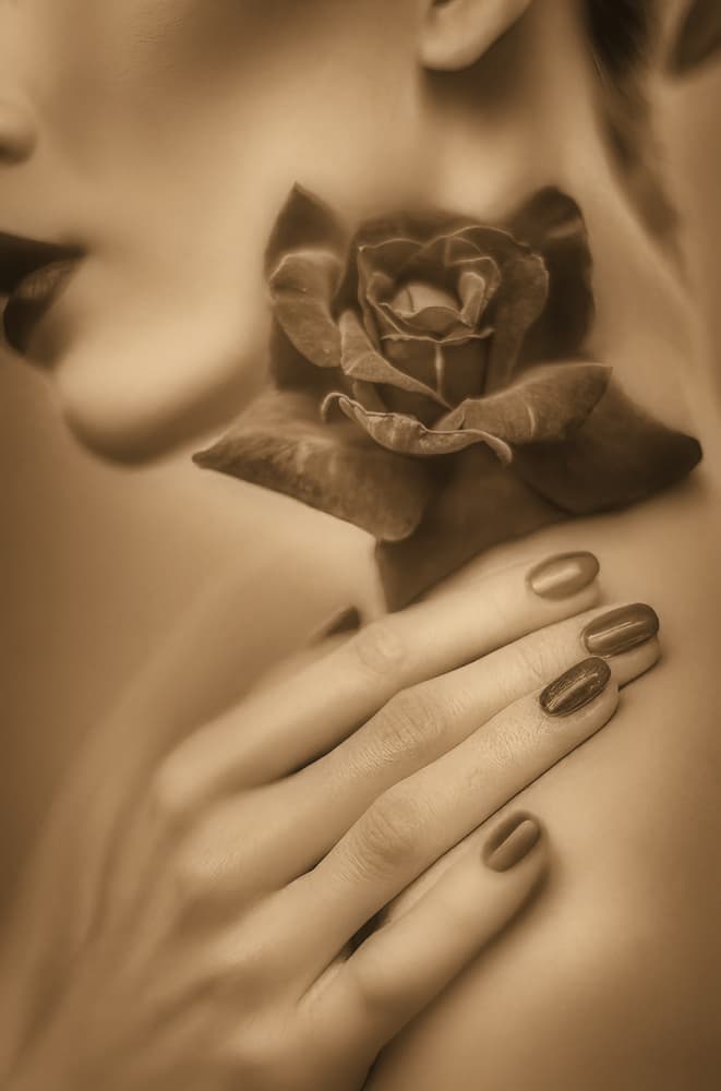 Delicate Rose Embrace by Yasutaka Sameshima — canvas wall art