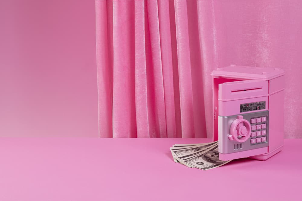 Pink Safe Savings by Julia Ramiro — canvas wall art