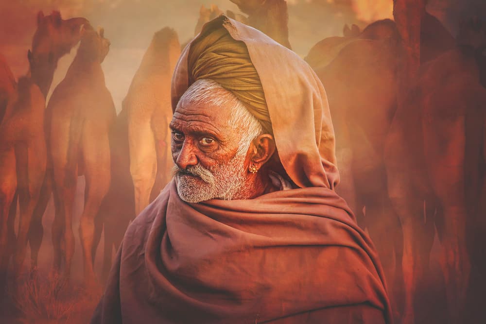 Rajasthani Man and Camels by Svetlin Yosifov — canvas wall art