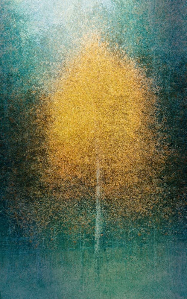 Golden Autumn Glow by Katarina Holmström — canvas wall art