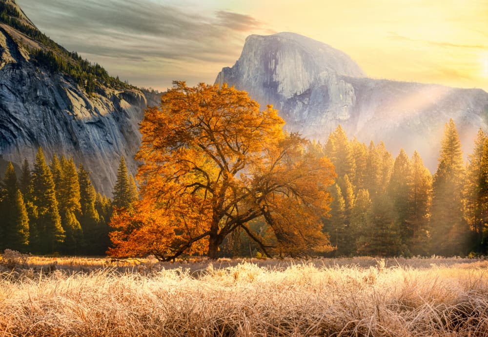 Golden Autumn Mountain Sunrise by Chao Feng 天馬 — canvas wall art