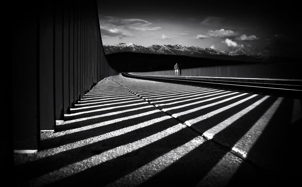 Lone Walker Long Shadows by Samanta Krivec — canvas wall art