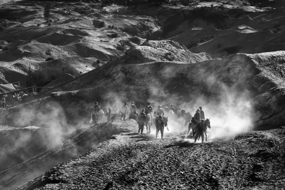 Dusty Horse Journey by Angela Muliani Hartojo — canvas wall art
