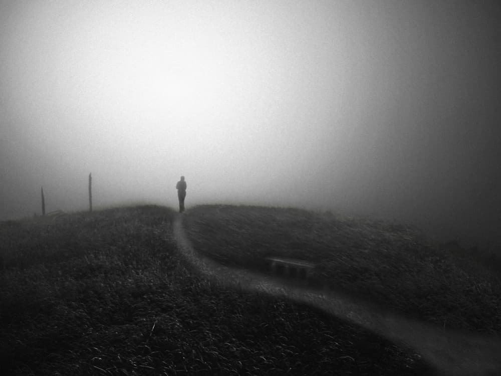 Misty Path Solitary Walker by David Senechal Photographie (polydactyle) — canvas wall art