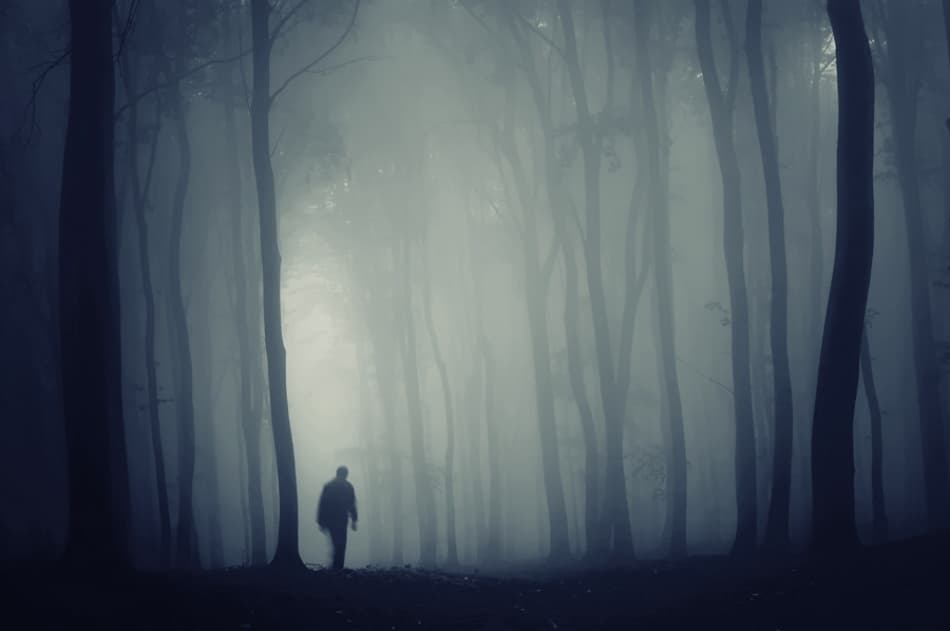 Lone Figure Foggy Forest by PhotoCosma — canvas wall art