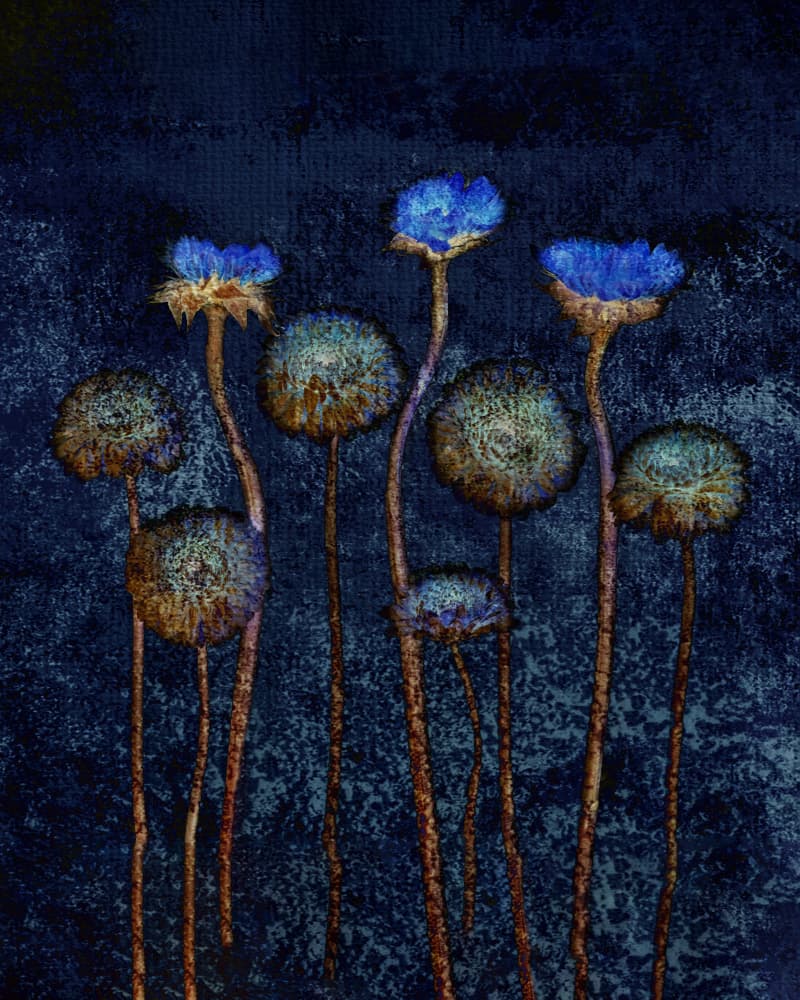 Deep Blue Botanicals by Linda Lu — canvas wall art