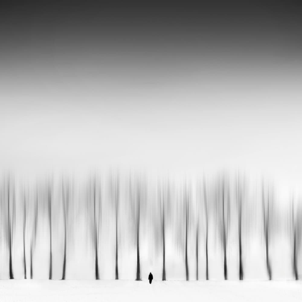Solitary Figure Winter Trees by alizolghadri93 — canvas wall art