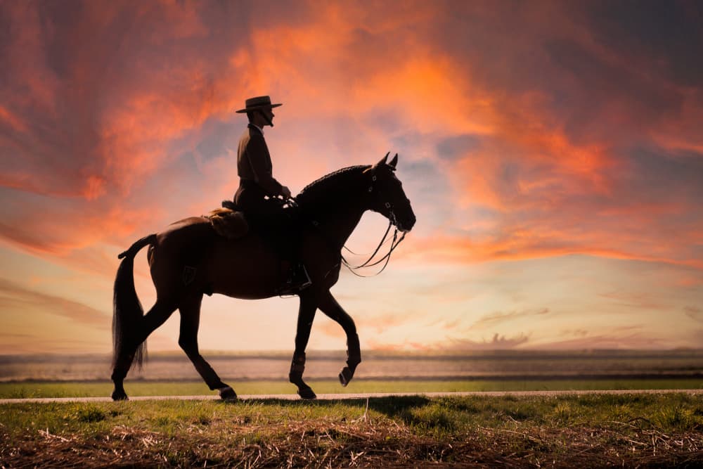 Western Sunset Ride by Celine Weerink — canvas wall art