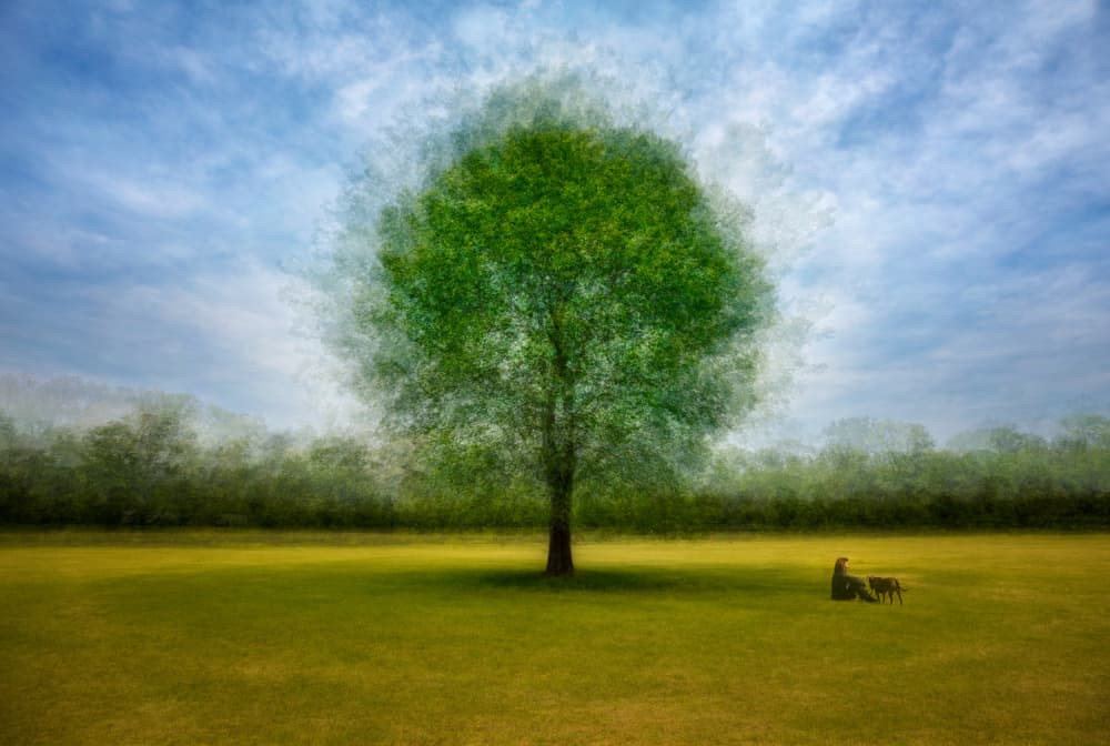 Lone Tree With Companion by Fiorenzo Carozzi — canvas wall art