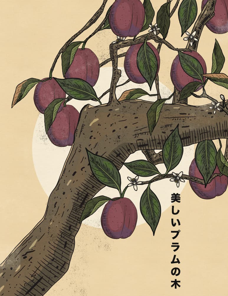 Beautiful Japanese Plum Tree by Nicholas — canvas wall art