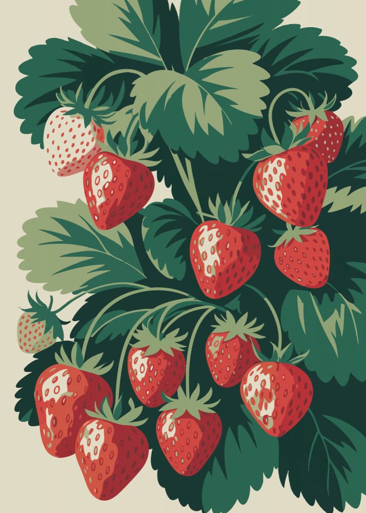 Summer Strawberry Harvest