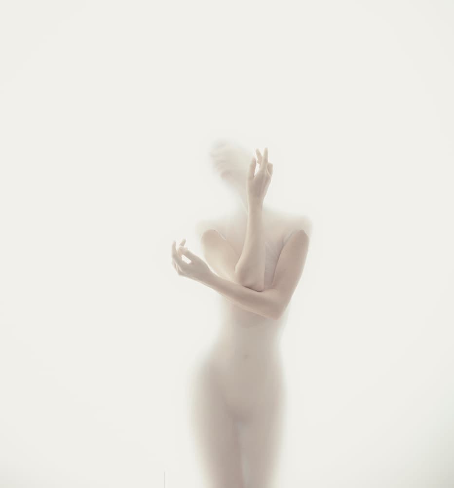 Soft White Silhouette by Kalynsky — canvas wall art