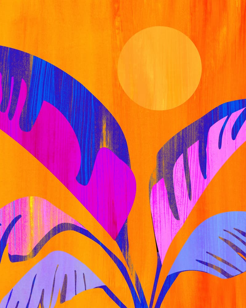 Mystic Tropics by Kristian Gallagher — canvas wall art