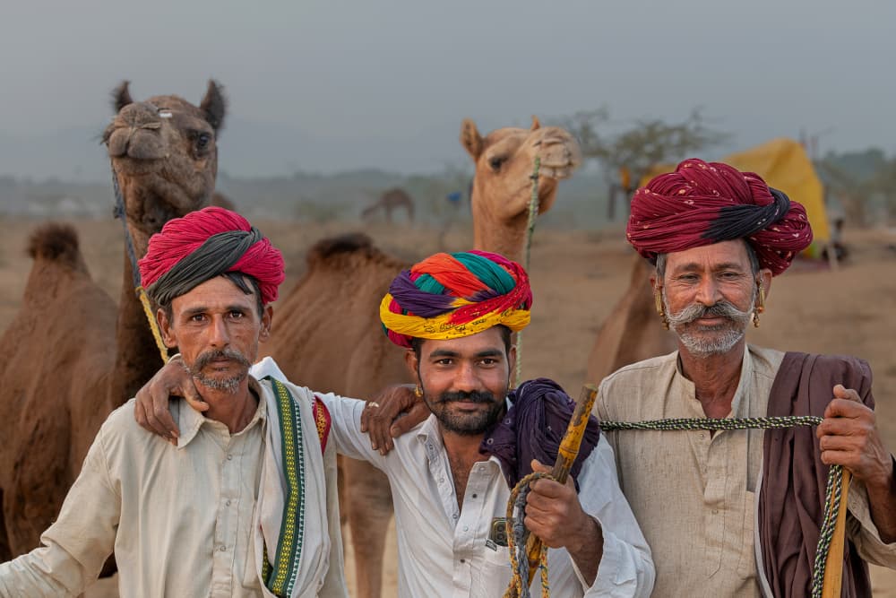 Rajasthani Men and Camels by Shaibal Nandi — canvas wall art