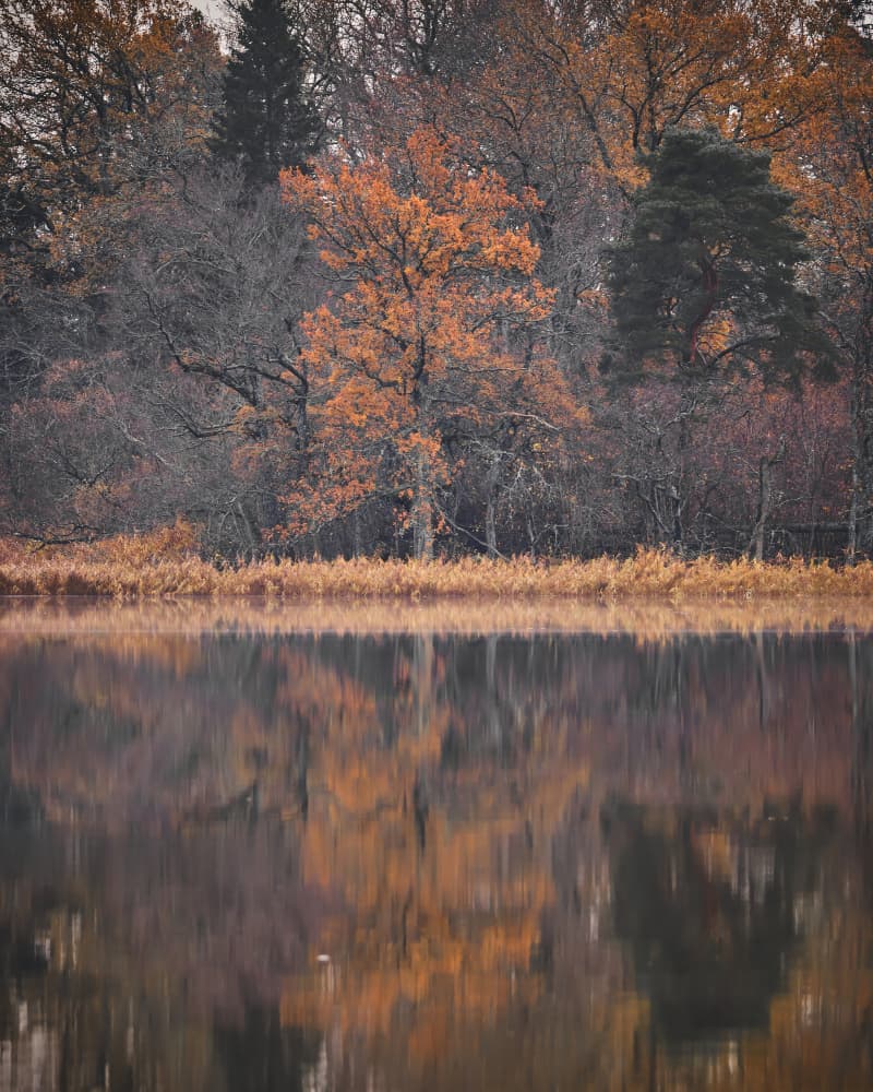 Autumn Lake Reflection by Hamed Bank — canvas wall art