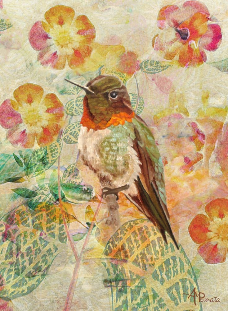 Hummingbird and Blossoms by Angeles M. Pomata — canvas wall art