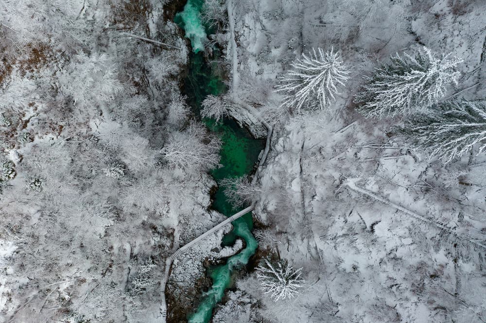Vibrant River Snowy Forest by Jure Kravanja — canvas wall art