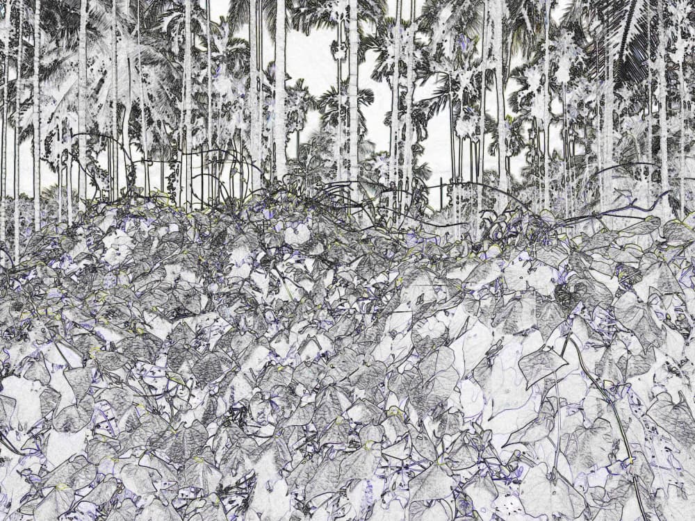 Monochrome Jungle Sketch by Santhosh ch — canvas wall art