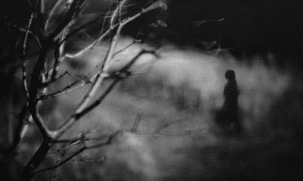 Mysterious Woman In Mist by Teruhiko Tsuchida — canvas wall art