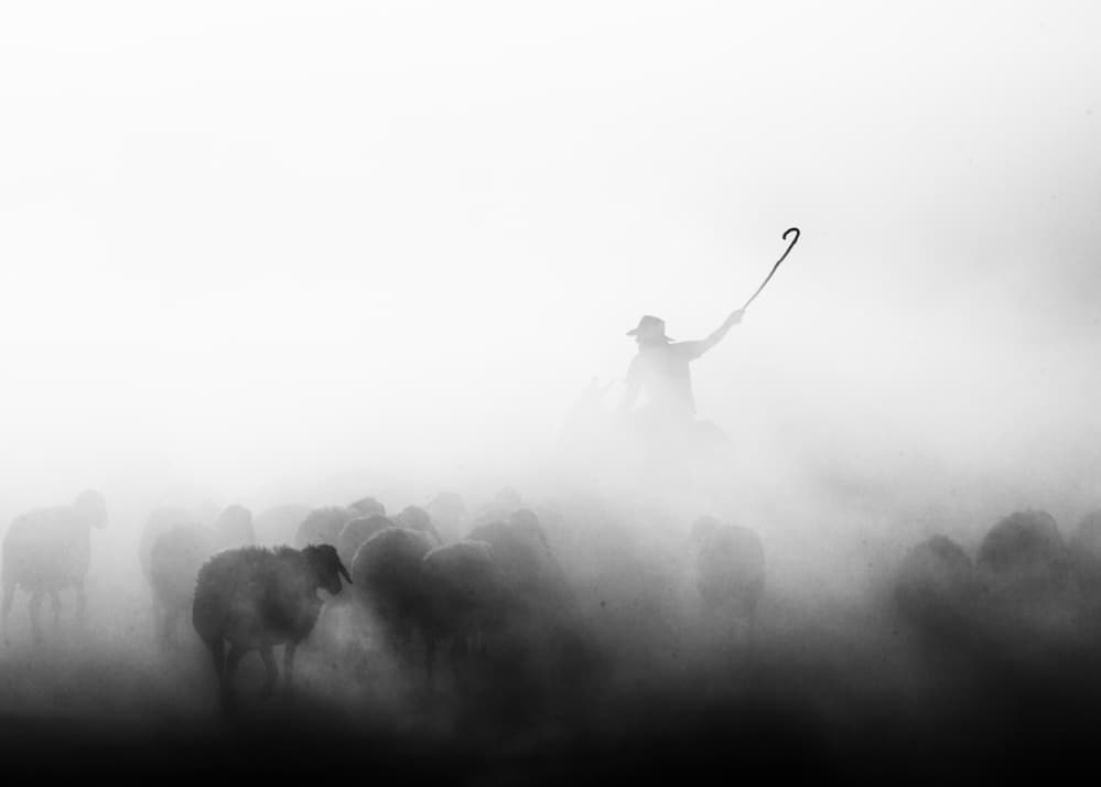 Shepherd And Misty Flock by Feyzullah Tunç — canvas wall art