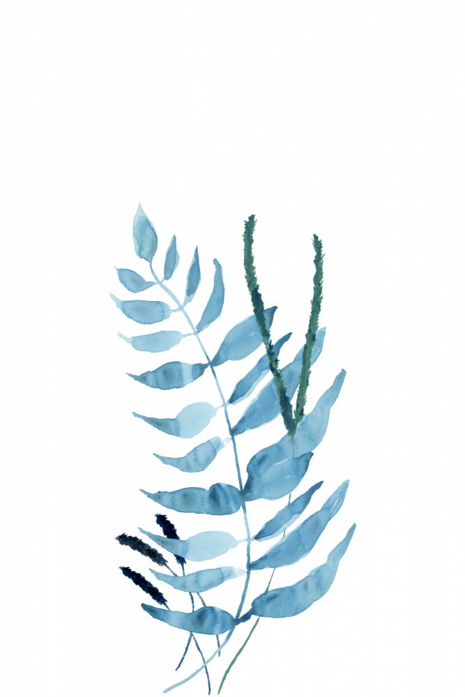 Blue Watercolor Ferns by cartissi — canvas wall art