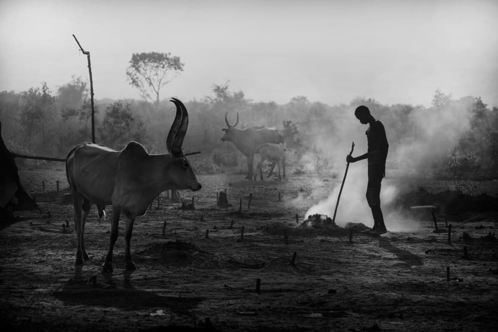 Rural African Morning by Svetlin Yosifov — canvas wall art
