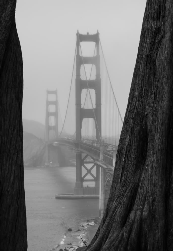 Misty Golden Gate Bridge by Tong Zhang — canvas wall art