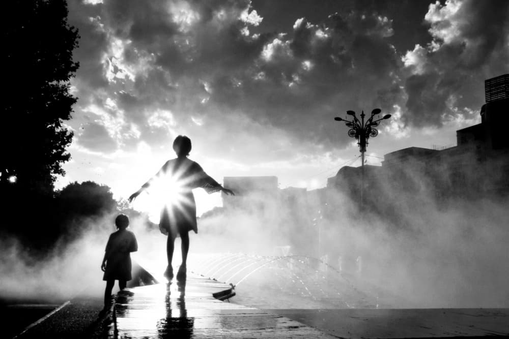 Misty Sunlight Silhouettes by Silvia Dinca — canvas wall art
