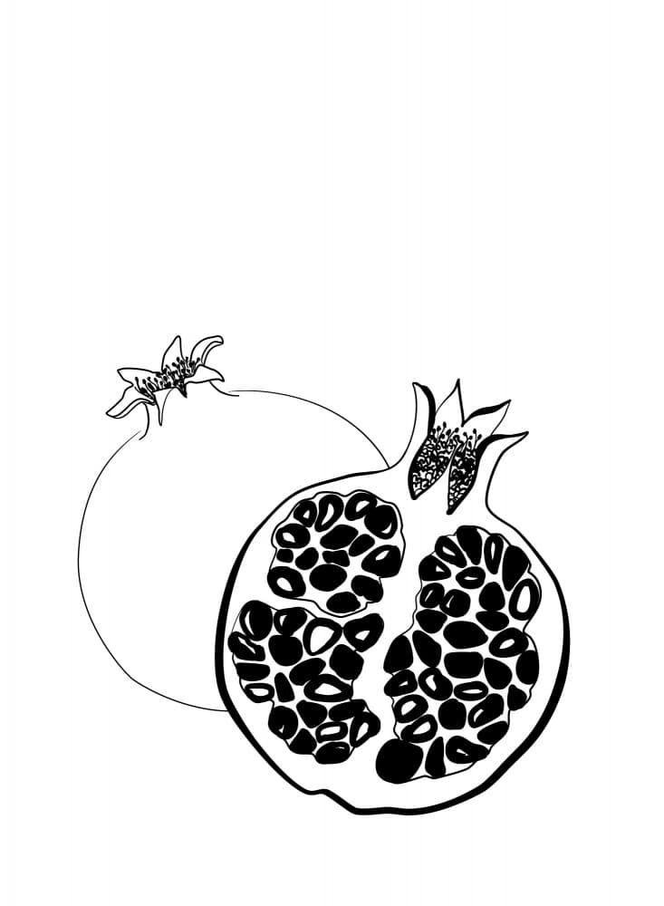 Whole And Cut Pomegranates by Rosana Laiz Blursbyai — canvas wall art