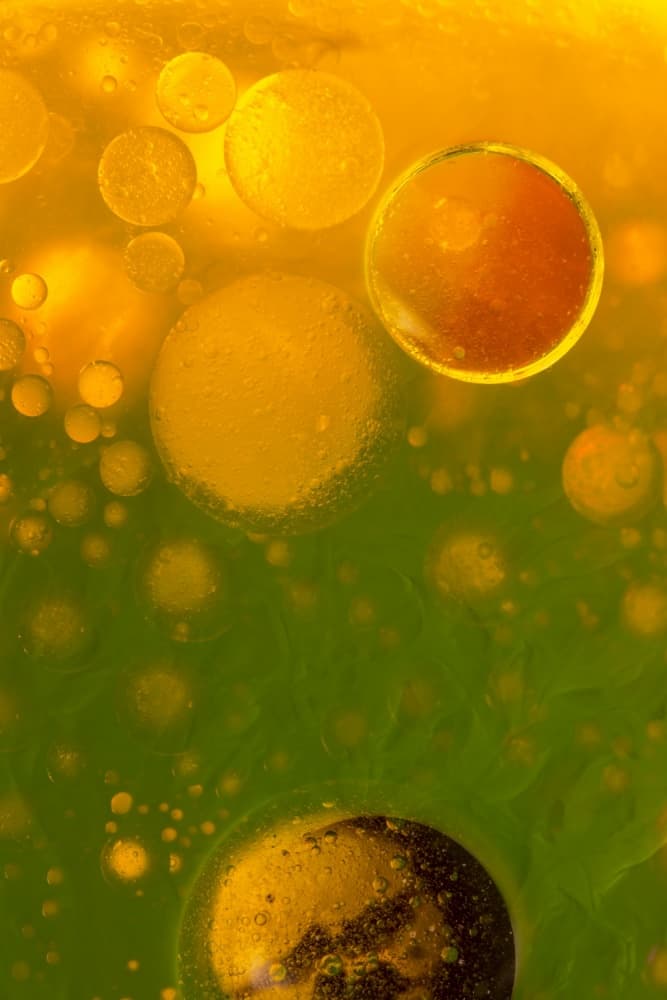 Golden Green Bubbles by Ileana Bosogea-Tudor — canvas wall art