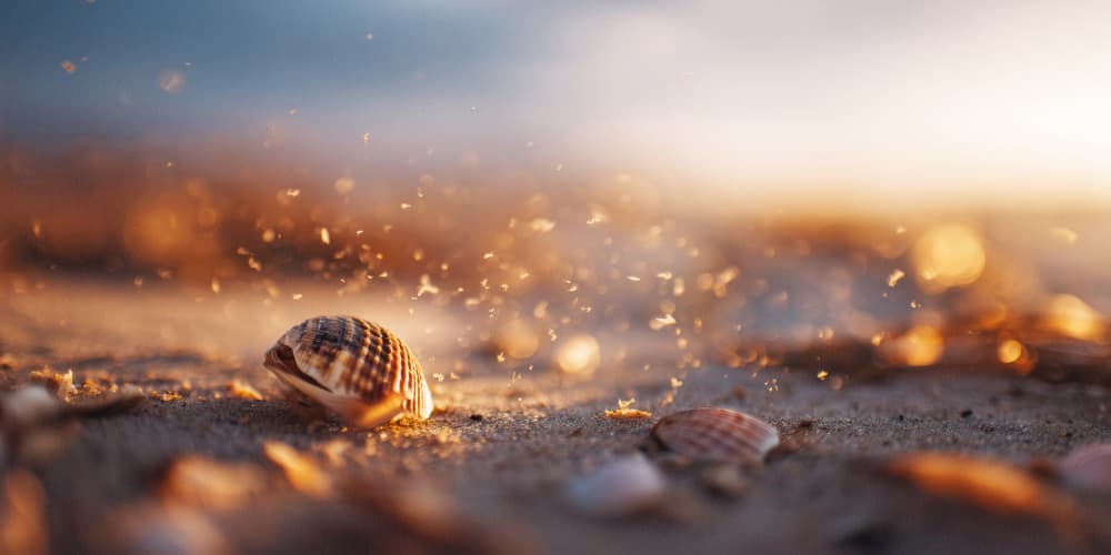 Bokeh beach no 02 by Treechild — canvas wall art