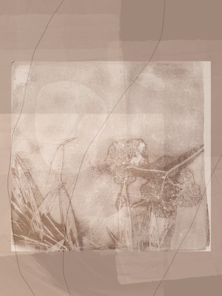 Ethereal Sepia Bloom by Dina Dankers — canvas wall art