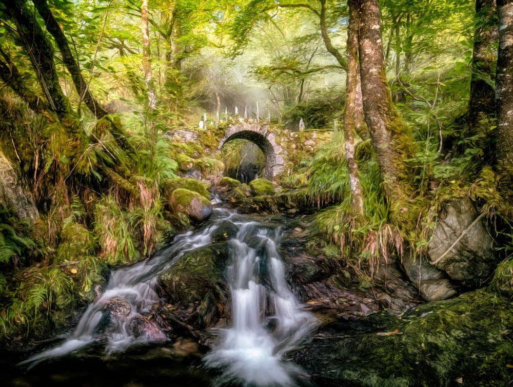 Enchanted Forest Stream Bridge by Lars van de Goor † — canvas wall art