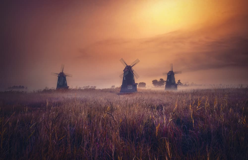 Misty Sunrise Windmills by Tiger Seo — canvas wall art
