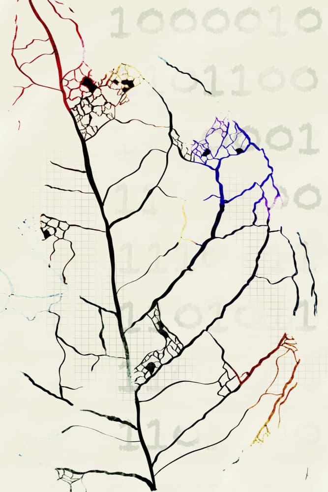 Nature's Digital Code by Ankie Kooi — canvas wall art