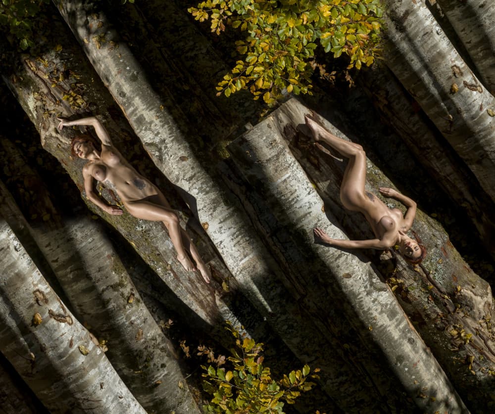 Nude Women Forest Logs by Ovi D. Pop — canvas wall art