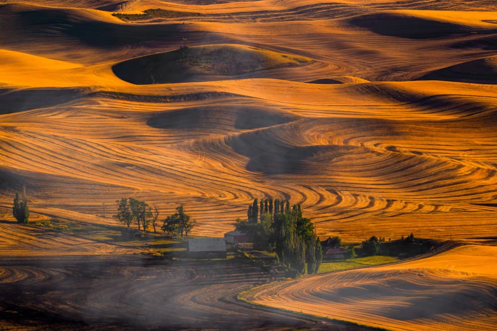 Golden Rolling Farmland by Mike He — canvas wall art