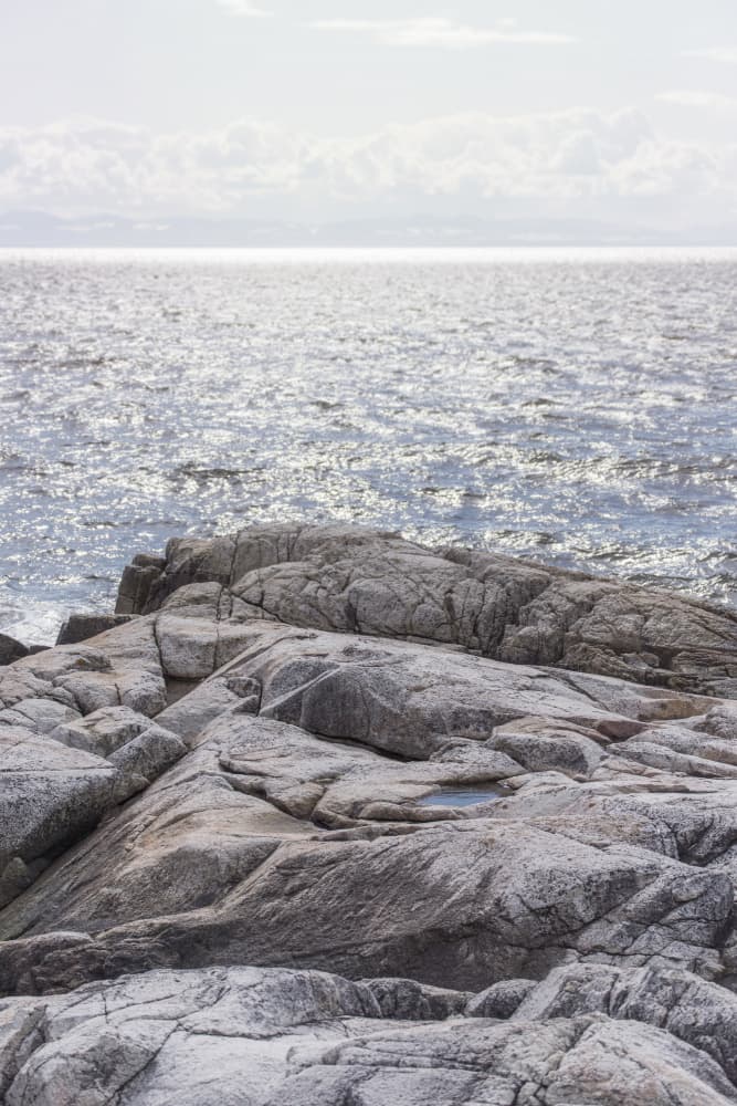 Sparkling Ocean Shoreline by Lynann Colligan — canvas wall art