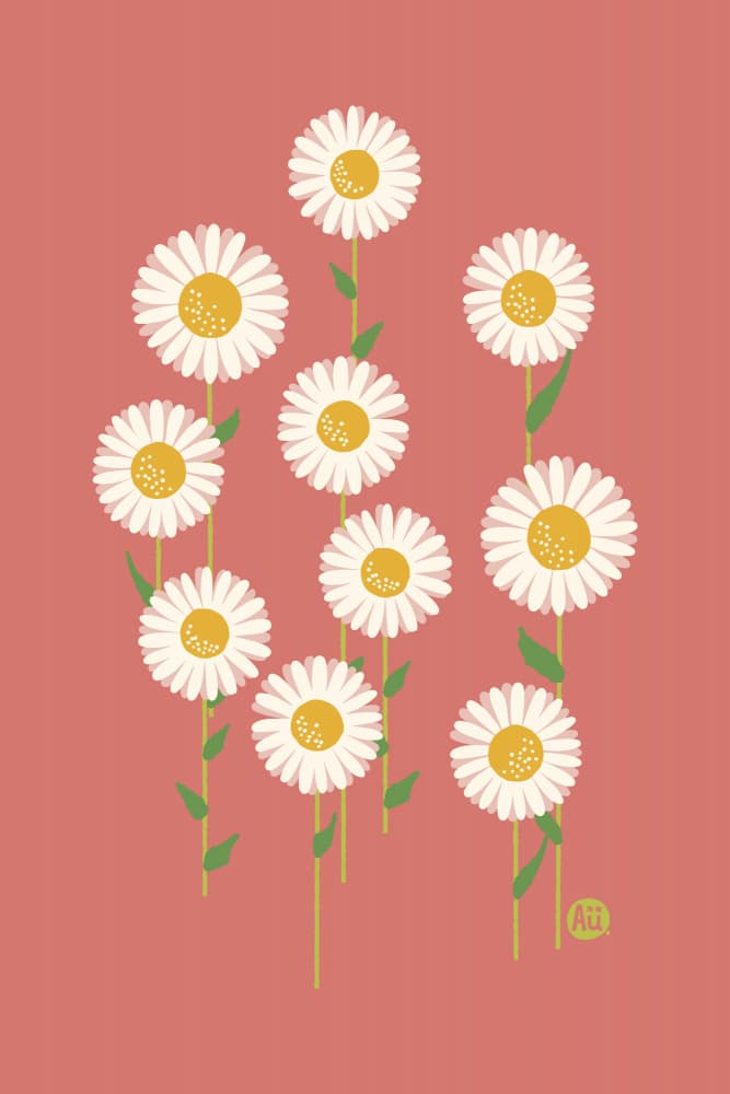 Cheerful Pink Daisies by Aia Ueno — canvas wall art