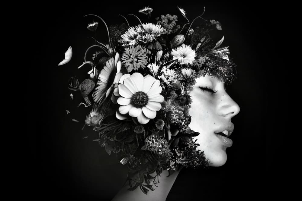 Serene Floral Beauty by Oren Hayman — canvas wall art