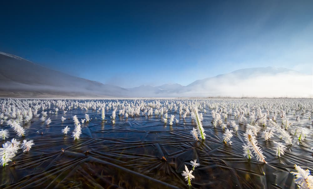Hoarfrost Winter Field by Roberto Marchegiani — canvas wall art
