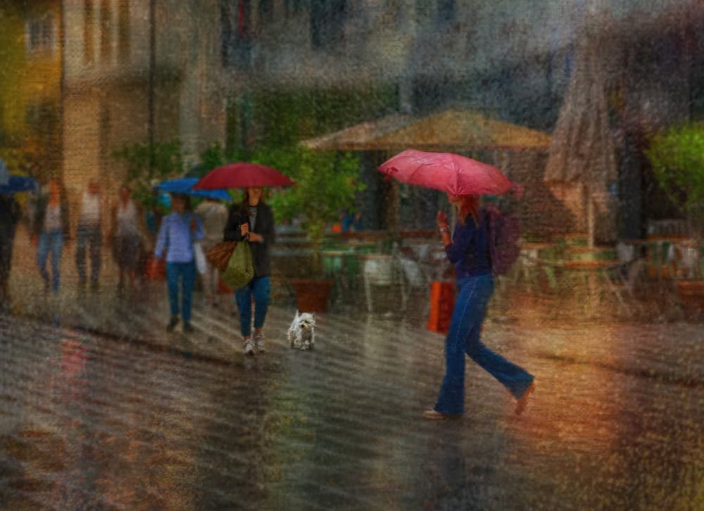 Umbrellas in the Rain by Anette Ohlendorf — canvas wall art