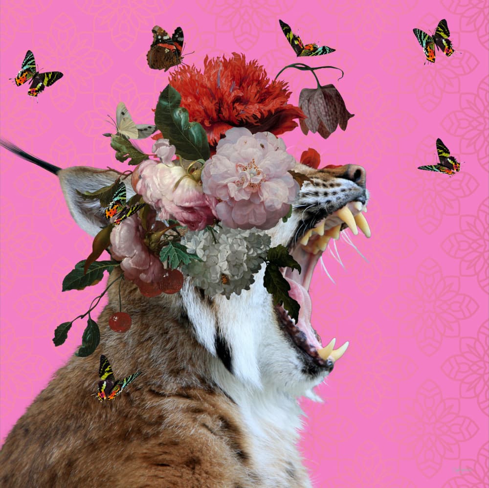 Wild Bloom Roar by Sue Skellern — canvas wall art