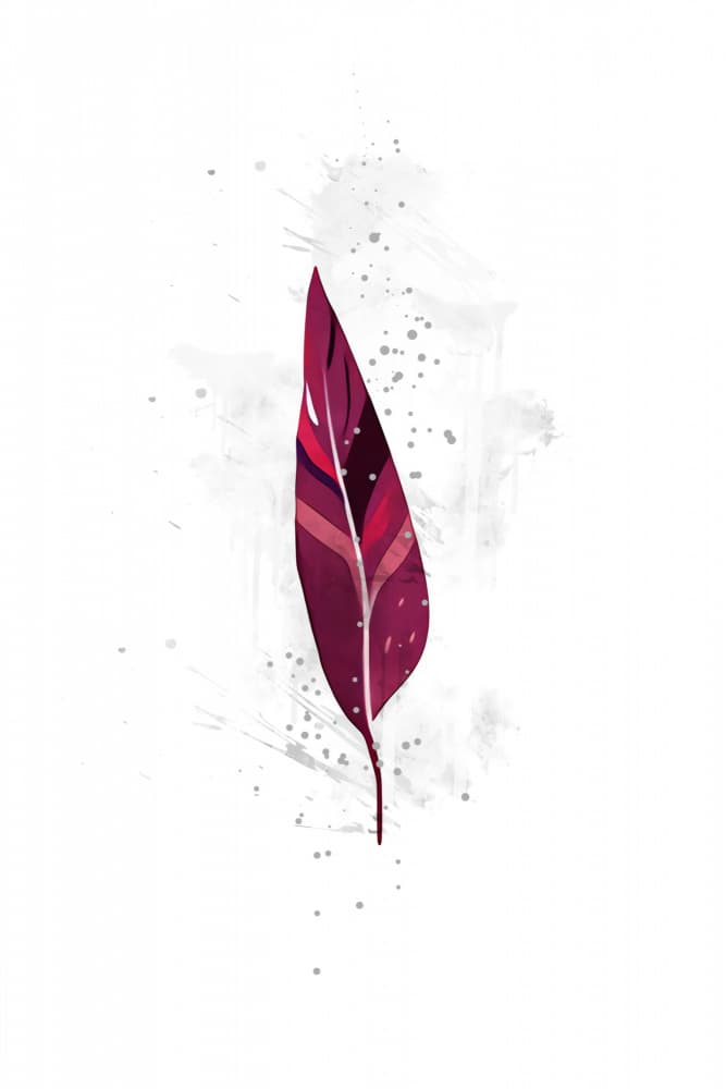 Graceful Red Feather by Rafal Kulik — canvas wall art
