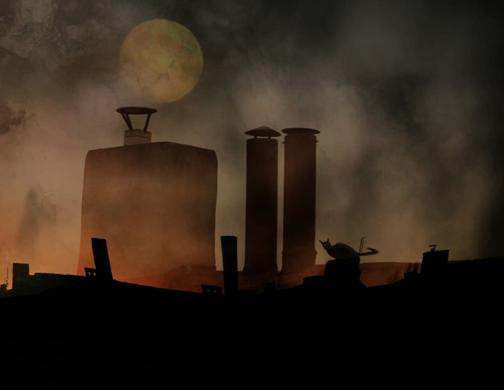 Rooftop Moon Cat by Robert Fabrowski — canvas wall art