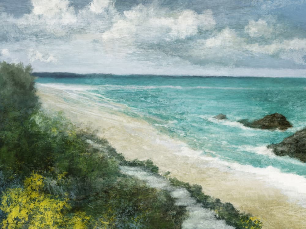 Coastal Walk by Dan Hobday — canvas wall art