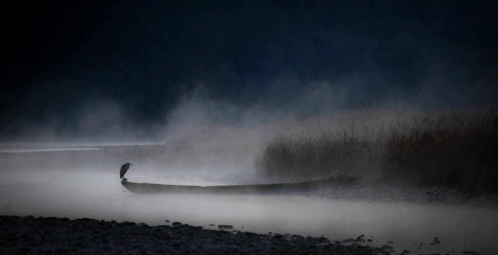 Misty Lake Bird by Takafumi Yamashita — canvas wall art