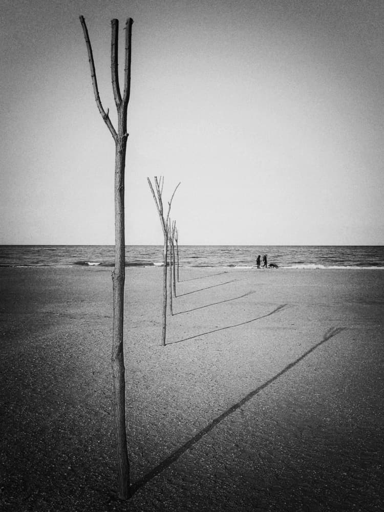 Coastal Line Shadows by Emilian Avramescu — canvas wall art